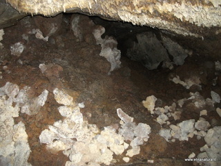 otta Petralia-17-03-2013 10-40-57